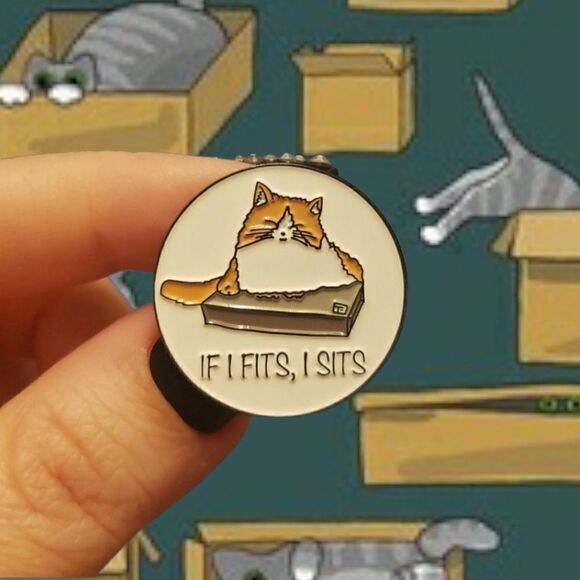 📦🐈if it fits, i sits enamel pin - Picture 1 of 10